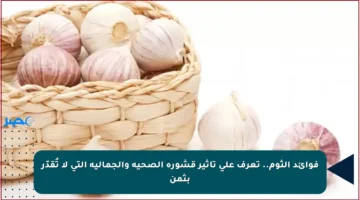 فوائد الثوم.. تعرف على تأثير قشوره الصحية والجمالية التي لا تُقدّر بثمن